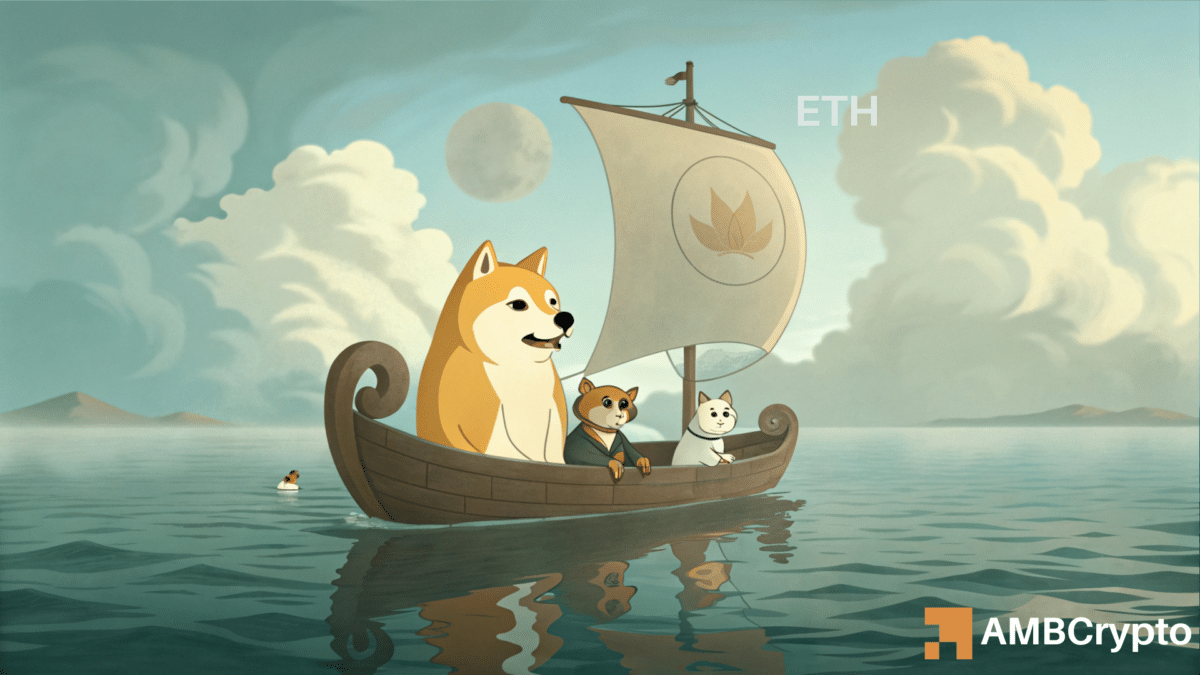 Dogecoin Price Prediction: How Stagnant Whale Activity Impacts DOGE’s Next Move