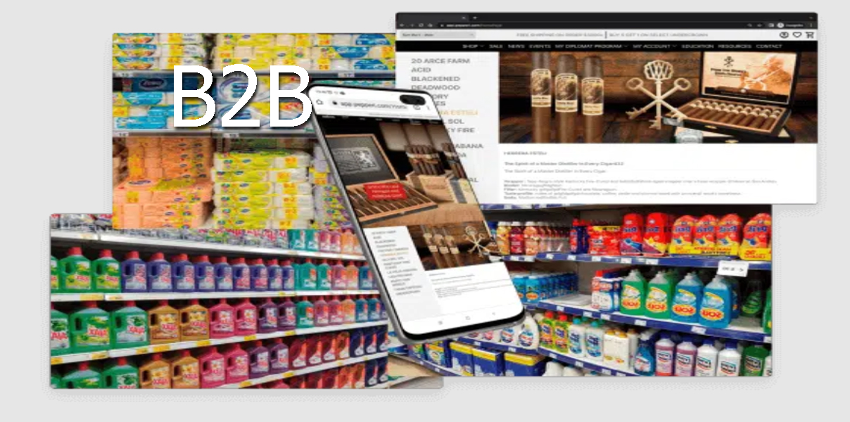 FMCG Retail’s Future Is Being Shaped by B2B E-Commerce Websites